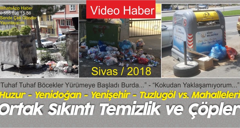 Sivas’ın Her Mahallesinde Çöplerle Alakalı Sorun Yaşanıyor! Şikayet Çok!