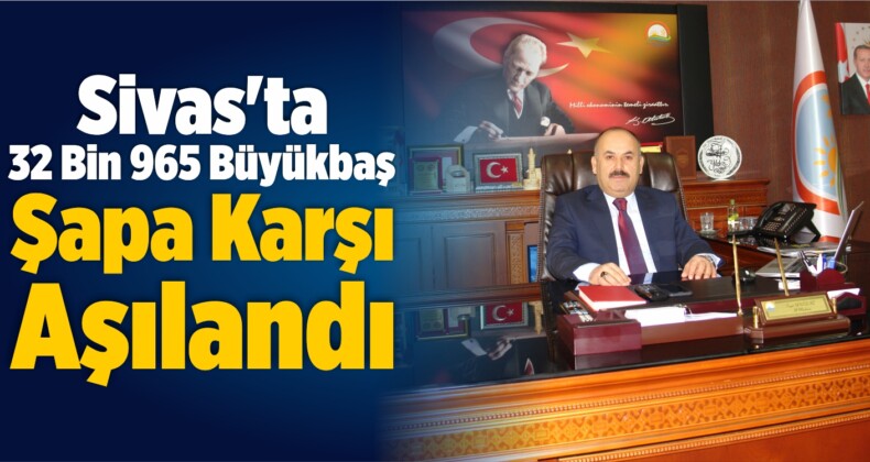 Sivas’ta 32 Bin 965 Büyükbaş Şapa Karşı Aşılandı