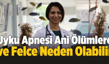 Uyku Apnesi Ani Ölümlere ve Felce Neden Olabilir