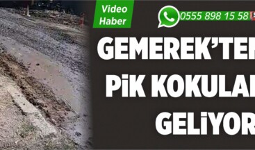 Gemerek WhatsApp 0555 898 15 58 ‘e Gönderilen Görüntüler! “Pis Kokular Geliyor”