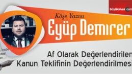 “Af Olarak Değerlendirilen Kanun Teklifinin Değerlendirilmesi”