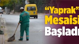 Sivas’ta Temizlik İşçilerinin Yaprak Mesaisi Başladı