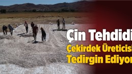 Çin Tehdidi Çekirdek Üreticisi Tedirgin Ediyor