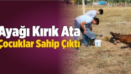 Ayağı Kırık Ata Çocuklar Sahip Çıktı