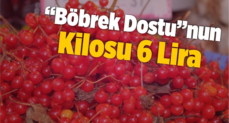 “Böbrek Dostu”nun Kilosu 6 Lira