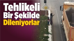 Tehlikeli Bir Şekilde Dileniyorlar