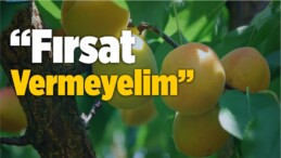 “Fırsat Vermeyelim”