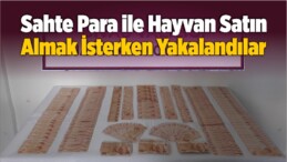 Sahte Para ile Hayvan Satın Almak İsterken Yakalandılar