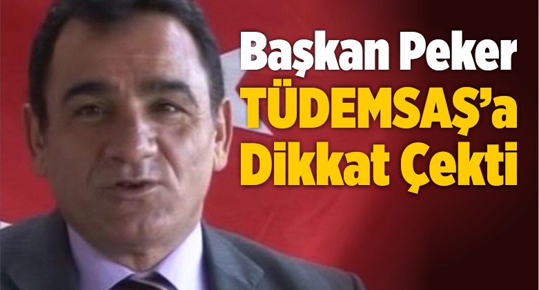 “Siyasetçiler TÜDEMSAŞ’ı Görmezden Geliyor”