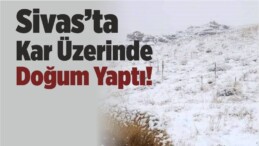 Sivas’ta Aniden Bastıran Kar Üstünde Doğum Yaptı!