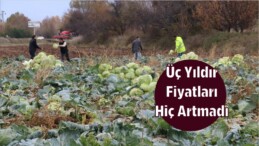 Üç Yıldır Fiyatları Hiç Artmadı