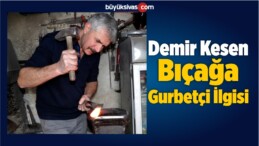 Demir Kesen Bıçağa Gurbetçi İlgisi