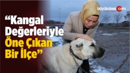 “Kangal Değerleriyle Öne Çıkan Bir İlçe”