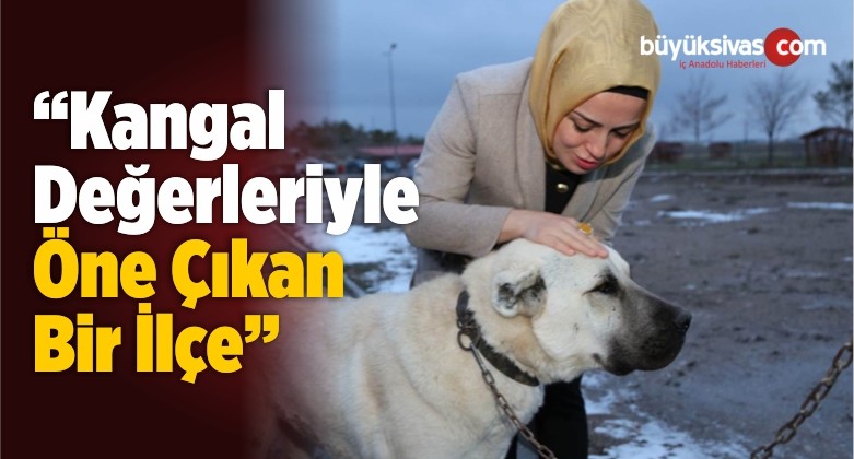 “Kangal Değerleriyle Öne Çıkan Bir İlçe”