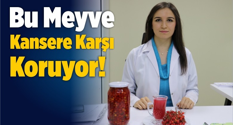 Bu Meyve Kansere Karşı Koruyor!