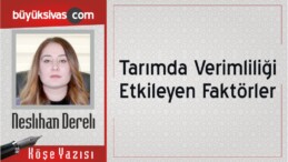 “Tarımda Verimliliği Etkileyen Faktörler”