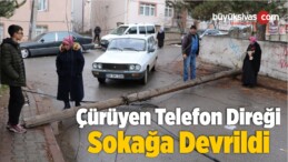 Çürüyen Telefon Direği Sokağa Devrildi