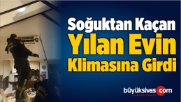 Soğuktan Kaçan Yılan Evin Klimasına Girdi