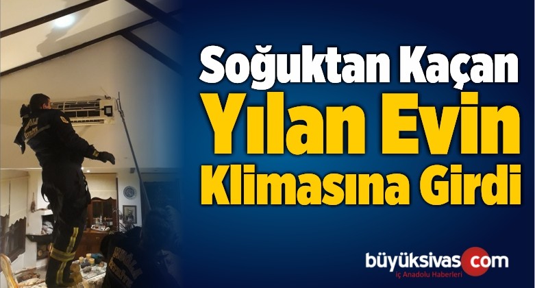 Soğuktan Kaçan Yılan Evin Klimasına Girdi