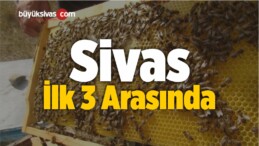 Bu Hibelerden En Çok Yararlanan Şehirler Arasında Sivas’ta Var!