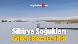 Sibirya Soğukları Gölleri Buza Çevirdi