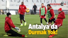 Antalya’da Durmak Yok!