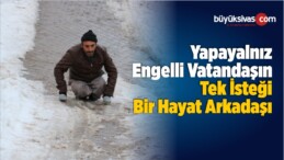 Yapayalnız Engelli Vatandaşın Tek İsteği Bir Hayat Arkadaşı