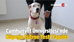 İşitme Engelli Olduğu Düşünülen Köpeğe İşitme Testi Yapıldı