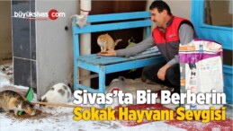 Berberin Sokak Hayvanı Sevgisi