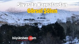 Sivas’ta Kargalardan Görsel Şölen