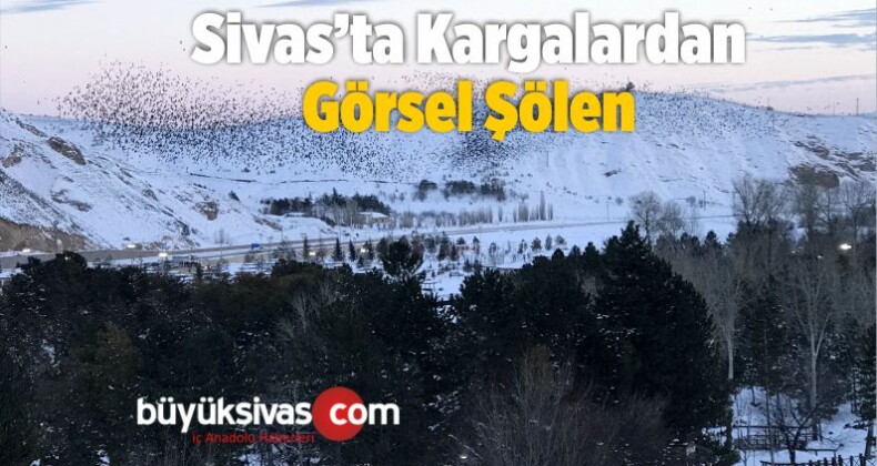 Sivas’ta Kargalardan Görsel Şölen