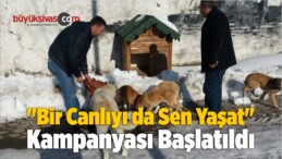 “Bir Canlıyı da Sen Yaşat” Kampanyası Başlatıldı