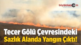 Tecer Gölü Çevresindeki Sazlık Alanda Yangın Çıktı!