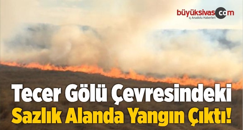 Tecer Gölü Çevresindeki Sazlık Alanda Yangın Çıktı!