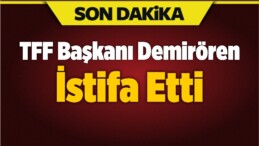 Yıldırım Demirören Türkiye Futbol Federasyon Başkanlığı’ndan İstifa Etti