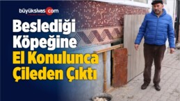 Beslediği Köpeğine El Konulunca Çileden Çıktı