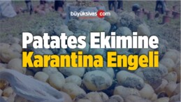 Patates Ekimine Karantina Engeli