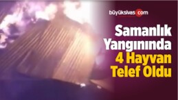 Samanlık Yangınında 4 Büyükbaş Hayvan Telef Oldu