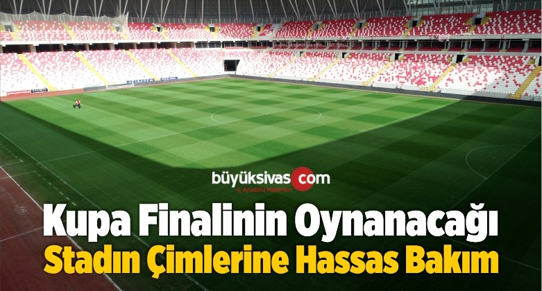 Kupa Finalinin Oynanacağı Stadın Çimlerine Hassas Bakım