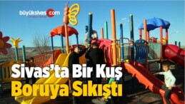 Boruya Sıkışan Kuşu İtfaiye Kurtardı