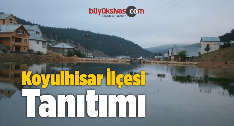 Koyulhisar ilçesi Tanıtımı