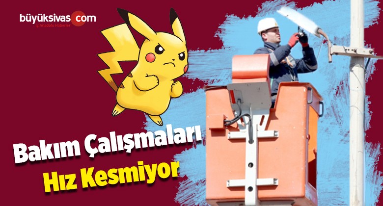 ÇEDAŞ 2019’da 2 Bin 449 Armatürün Bakım ve Onarımını Yaptı