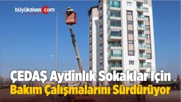 ÇEDAŞ Aydınlık Sokaklar İçin Bakım Çalışmalarını Sürdürüyor