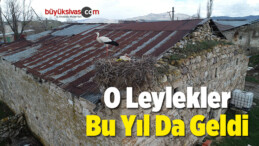 Leyleklerin Sonraki Kuşakları Bu Yıl Da Yuvalarına Döndü