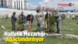 Halfelik Mezarlığı Ağaçlandırılıyor