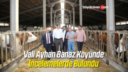 Vali Ayhan Banaz Köyünde İncelemelerde Bulundu