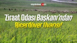 Hafik Ziraat Odası Başkanı Karakaş’tan Biçerdöver Uyarısı