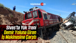 Yük Treni Demir Yoluna Giren İş Makinesine Çarptı