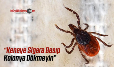 Keneye Sigara Basıp Kolonya Dökmeyin