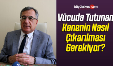 Vücuda Tutunan Kenenin Nasıl Çıkarılması Gerekiyor?